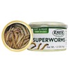 Canned Superworms 1.2 oz (6 Pack) - Healthy High Protein