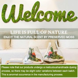 TCYPUHL Preserved Moss for Crafts Green Reindeer Moss for Potted Plants, Craft Decorative Moss Decor for Wall Art, Dried Moss(1.1 lb, Green)