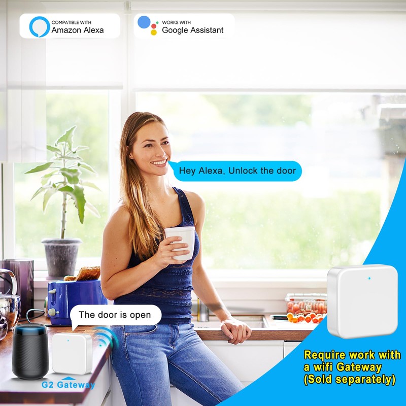 Keyless Entry Door Lock with Handle Set, Keyless Entry Door