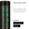Lendan Oil Essences Ethernal Moringa Shampoo 100ml
