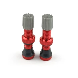 2pcs 44mm Red Tubeless Air Valve Aluminum Alloy Tyre Valve Round Base Small Size Valves for MTB Road Bike Tubeless Valve Stem (with Caps)