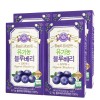 hallberry Wholeberry Organic Blueberry Puree 100% Wholeberry Blueberry 14 packs,