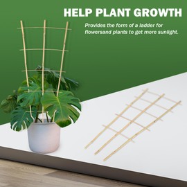 Jollybower 3PCS Fan-Shaped Bamboo Trellis, 2Ft Plant Trellis Indoor, Small Trellis for Potted Plants Indoor, Climbing Plants, Vegetables