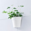 Yosoo Half Circle Wall Mounted Plastic Planter, Water Cultivation Design,