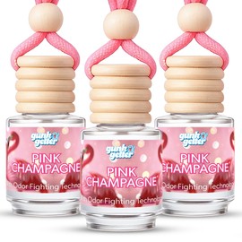 Gunk Getter Hanging Air Freshener Car Diffusers - Long Lasting Scent, Odor Eliminator, Home Essentials, Fresh car fragrance diffuser - 3 Pack- Pink Champagne