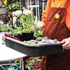 Luwint Garden Tidy Potting Tray, Plant Reportting Tray for Indoor