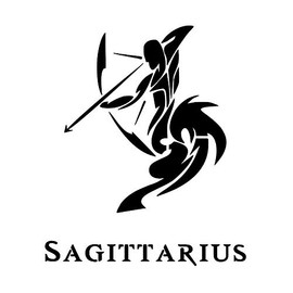 SAGITTARIUS Zodiac Sign Astrology Horoscope 8.5" x 11" Stencil 20 Mil Plastic Sheet NEW S376