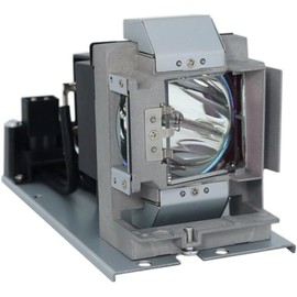 CHNPOFNT 5J.J5405.001 Replacement Projector Lamp Bulb with Housing UHP210/160W 0.9 E20.9 for BENQ EP5920 W1060 W700 W700+ W703D