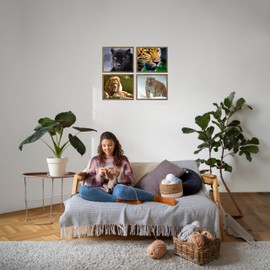 Big Beautiful Cats - Animal Wall Decor, Our Lion-Tiger-Panther-Cheetah Wall Art Jungle & Safari Photo Prints, Ideal for Home, Office & Zoo Decor. Get Closer to the Big Cats! Unframed - 10X8 (4-PK)