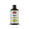 Nature's Basket Amla Carrier Oil - (100 ML)