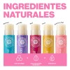 5 Pack Bálsamo Labial Dr. Akermans Frutas 4.5g Natural