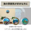 HAMILO Underwater Coral Reef Sea Turtle Dolphin Wall Stickers Waterproof