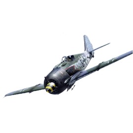 Tamiya 1/48 Masterpiece Series No. 95 German Air Force Focke-Wulf Fw190 A-8/A-8 R2 Plastic Model 61095