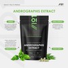 Andrographis Extract 500mg – High Strength Andrographis Paniculata Extract Equivalent