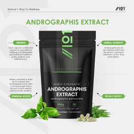 Andrographis Extract 500mg – High Strength Andrographis Paniculata Extract Equivalent to 5,000mg – 90 Vegan Capsules (3 Months Supply) – by Alpha01
