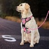 IVY&LANE No Pull Dog Harness with Leash Set, Reflective No