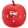 Judge Ripe Apple Kitchen Timer 60 Minute Wind Up Cooking