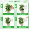 Coitak 4 PCS Plant Self Watering Globes with Covers, Brush,