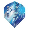 RED DRAGON Professional Player Gerwyn Price Iceman Hardcore Premium Standard