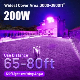 YQNLIFA 200W Waterproof LED Black Lights, 2 Pack Flood Light with Plug & 10Ft Cable, Indoor/Outdoor Blacklight for Party, Body Paint, Fluorescent Reactive, Neon Glow in Dark, Back Yard, Stage Light