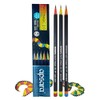 Apsara Matt Magic Pencil 2.0 [Pack of 10]