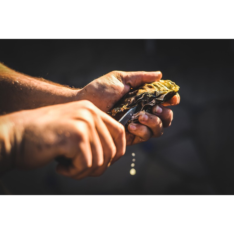 Dexter-Russell 2.75-inch Oyster Knife, New Haven pattern