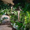 Aquascape Path and Area LED Landscape Light, Hat Top Design,