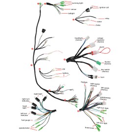 RedCap Complete Main Wiring Harness for GY6 50cc 70cc 90cc 110cc 125cc 4-Stroke ATV Dirt Bike Moped Scooter Go-Kart Quad Buggy TaoTao ATM Pony VIP Vitacci 139QMB SunL Roketa Coolster Kazuma JCL Lance