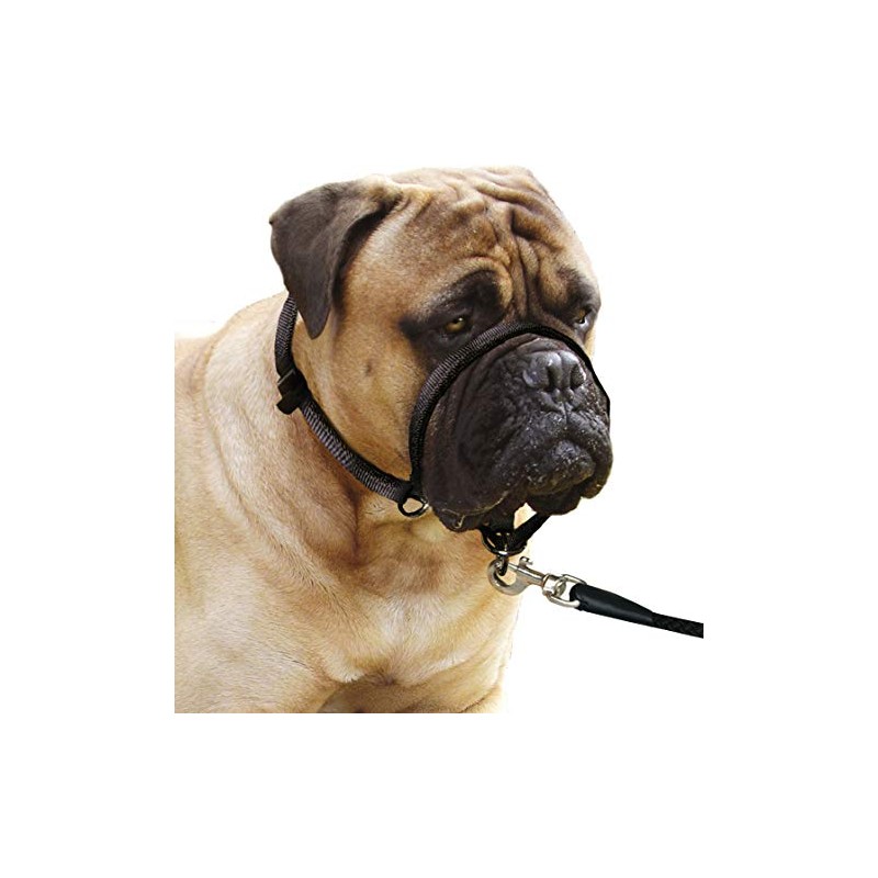 B-Safe 15MMX Reflective Harness (30-45 cm); #511647