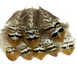 Sowder 20pcs Natural Pheasant Plumage Feathers 2-4 Inches for Home Wedding Decoration