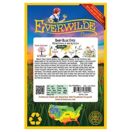 Everwilde Farms - 1000 Baby Blue Eyes Native Wildflower Seeds - Gold Vault Jumbo Seed Packet