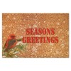 SILYHEART Seasons Greeting Coir Doormat Winter Mistletoe Bird Nut Rug