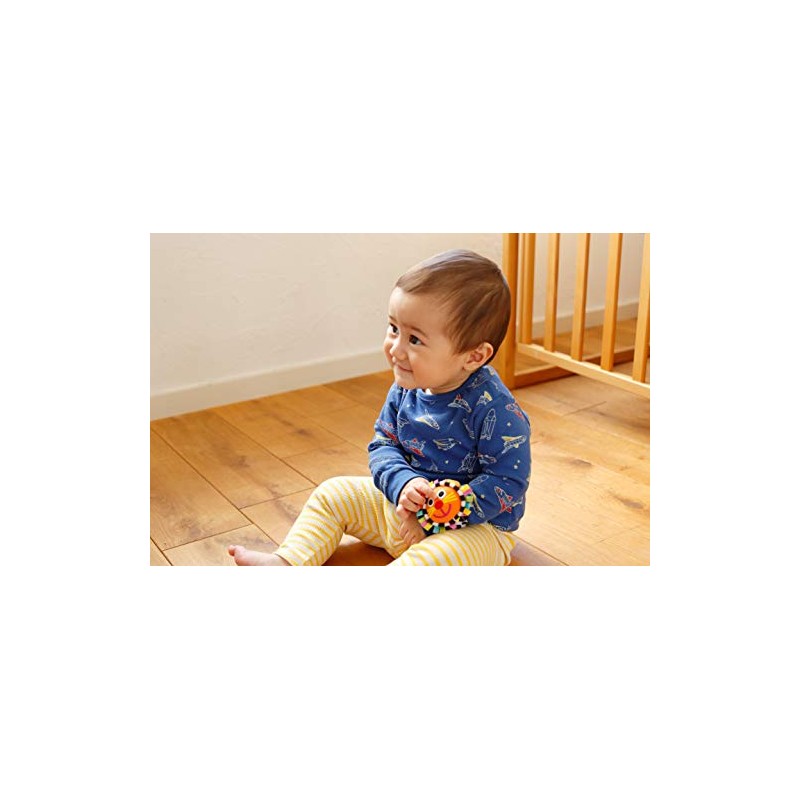 Sassy Colorful Charm Band/Lion TYSA80740