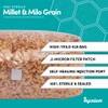 Mycelium Sterilized 5 LB Mushroom Grain Spawn Bag | Organic