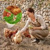 WJccsee Versatile Poultry ID Bands, 100 Pack, 16mm, Multi-Color &