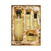 Izanox Tervina The Golden Serum Special Set / 이자녹스 테르비나