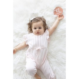 Pearhead Acrylic Monthly Milestone Photo Cards, Baby’s First Year Photo Prop Discs, Pregnancy Journey Milestone Markers, Blush Pink