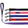 Downtown Pet Supply 2ft Heavy-Duty Dog Leash - Padded Comfort