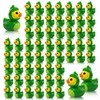 60 Pcs Mini Resin Dinosaur Ducks,Tiny Green Ducky Figurines