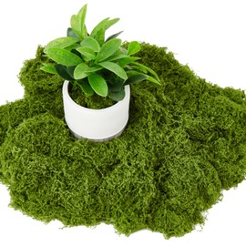 5.3OZ Artificial Fake Green Moss for Crafts, Faux Moss for for Plants Indoor DIY Floral Arrangements, Terrariums, Home Decor, Fairy Gardens