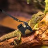 3Pcs Bearded Dragon Harness and Leash Set, 3 Size Adjustable