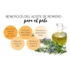 2 Shampoos De Romero Anti-caída, Fortalece, Nutre E Hidrata