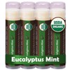 Bálsamo labial orgánico USDA de Earth's Daughter, paquete de 4