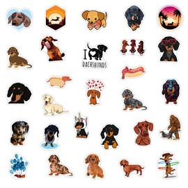 100 PCS Stickers for Dachshunds Water Bottle|Vinyl Waterproof Sticker for Laptop Skateboard Phone Car Decals for Adults Decor (Dachshunds Stickers)