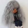 Linfairy 9-10 inch Doll Long Wig Curl 69 (Gray)