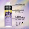John Frieda Violet Crush for Blondes Toning Conditioner for Blonde