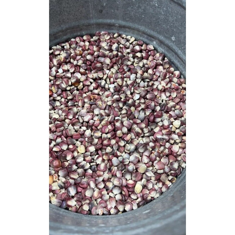 Bulkbuyz1 Purple Hominy Corn- Maiz para Pozole Morado Bulk No