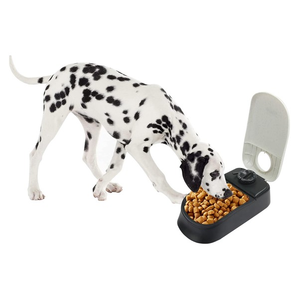 PAWISE Automatische Haustierfütterung für Hunde und Katzen, 1.5 Cup Futterspender