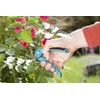 Gardena Classic Secateurs, Blue, 38 x 15 x 18 cm,