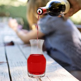 Cornucopia Brands Individual Wine Carafes (6-Pack); Small 6.5oz Single-Serving Personal Mini Size Wine Decanters